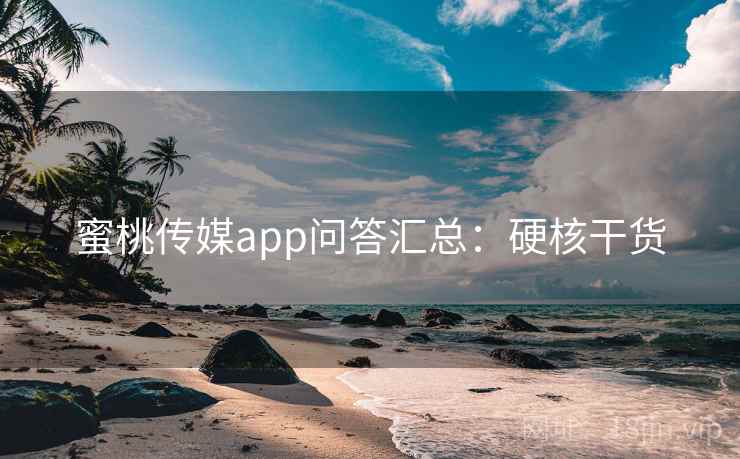 蜜桃传媒app问答汇总：硬核干货