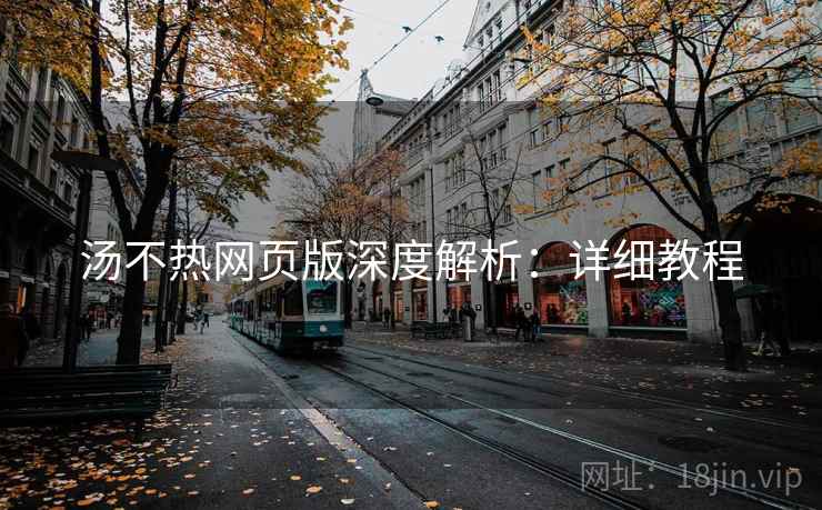 汤不热网页版深度解析：详细教程