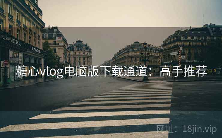 糖心vlog电脑版下载通道：高手推荐